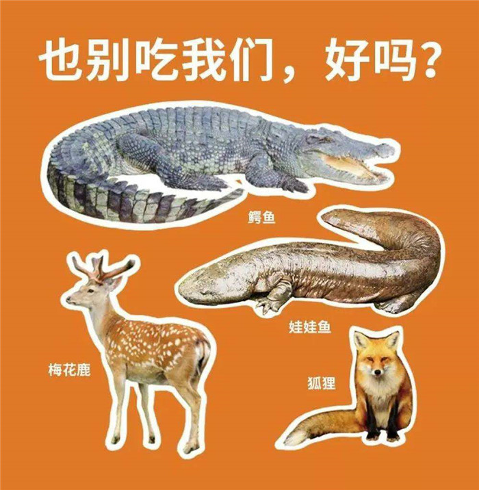 拒絕野味,從我做起!