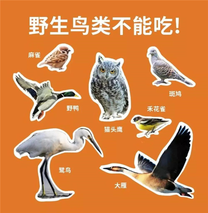 拒絕野味,從我做起!