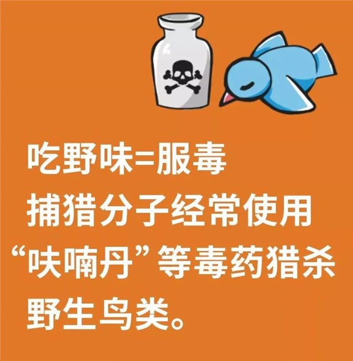 拒絕野味,從我做起!