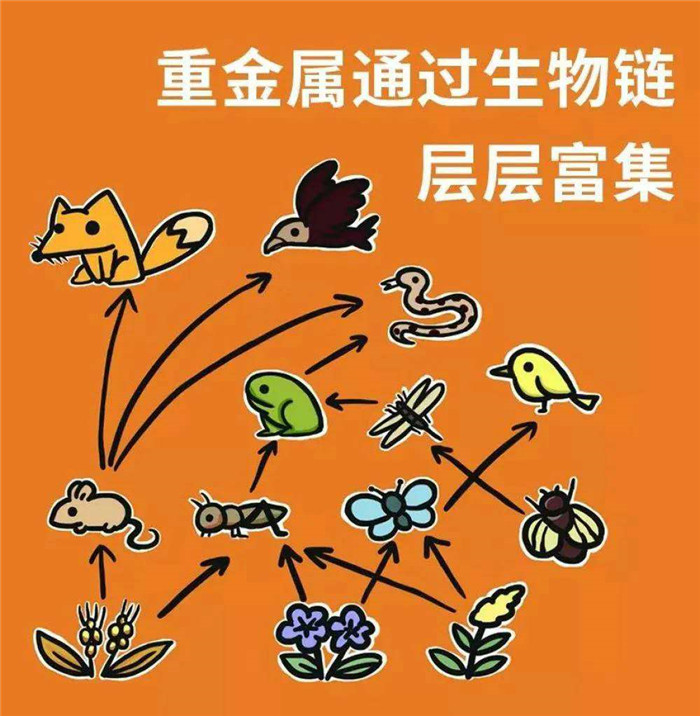 拒絕野味,從我做起!