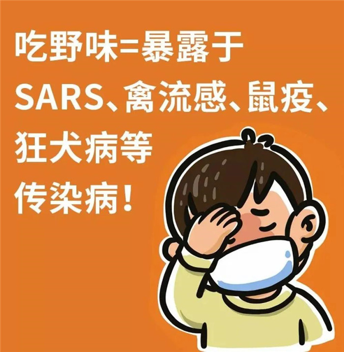 拒絕野味,從我做起!
