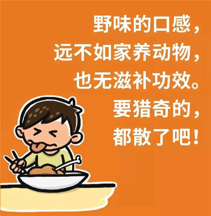 拒絕野味,從我做起!