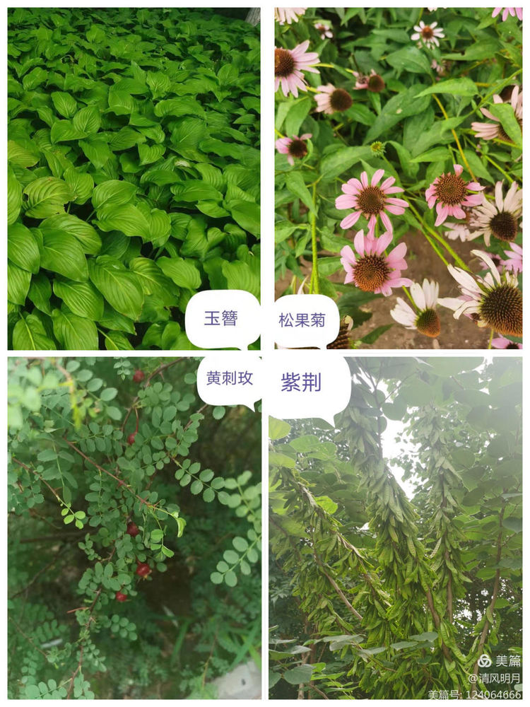 21級新生夏令營系列活動——秀水公園研學(xué)旅行