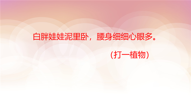 2022級6月份新生夏令營系列活動預(yù)告大合集來啦，邀你一起來參加！